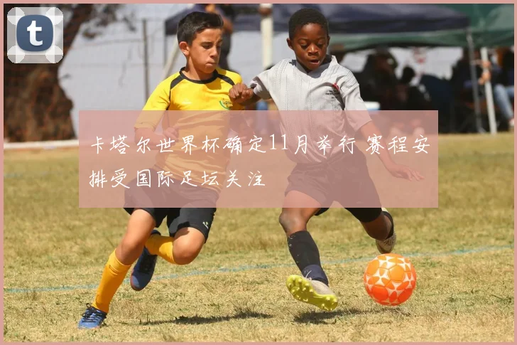 卡塔尔世界杯确定11月举行 赛程安排受国际足坛关注
