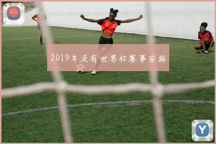 2019年没有世界杯赛事安排