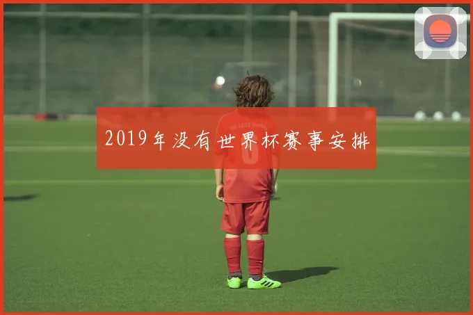 2019年没有世界杯赛事安排