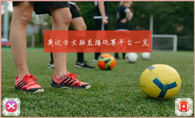 奥运会女排直播观赛平台一览
