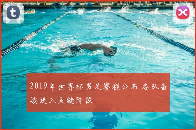 2019年世界杯男足赛程公布 各队备战进入关键阶段